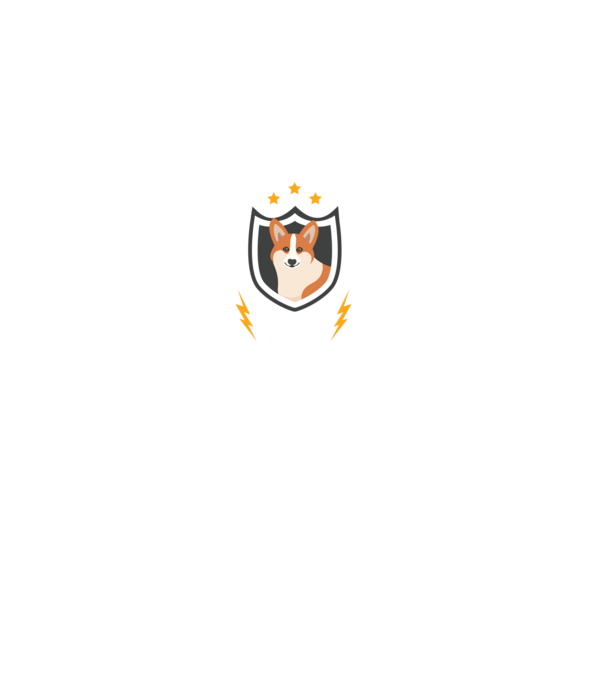 serviciu de securitate - securitate - persistență - 24 de ore pe zi model negru pe tricou