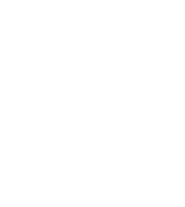 Bug fixed model negru pe tricou