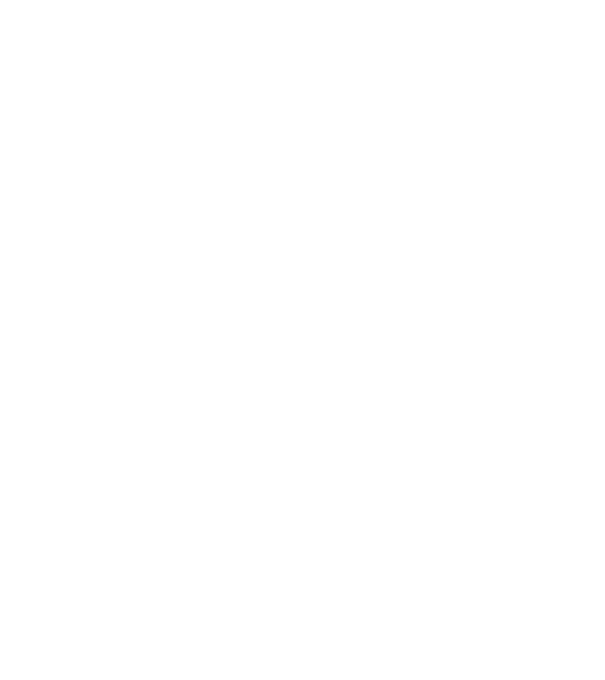 LOVE Mops model gri pe tricou