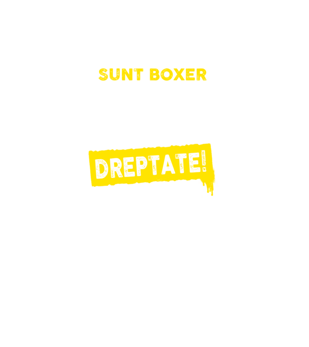 sunt boxer - pentru a economisi timp, să reținem că am întotdeauna dreptate model turcoaz pe tricou
