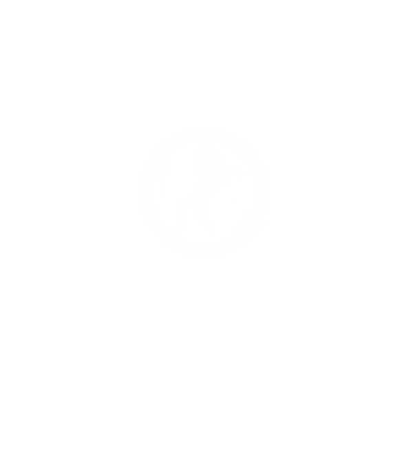 horse badge model gri pe tricou