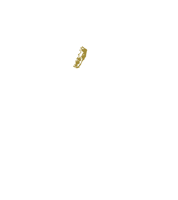 King in the north 2c model negru pe tricou