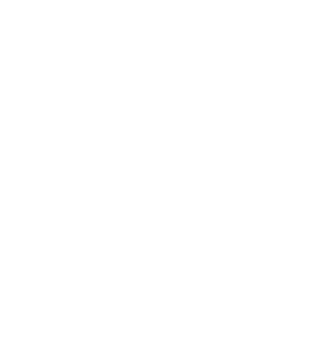 Crazy Cat Ladies are born in June model negru pe tricou