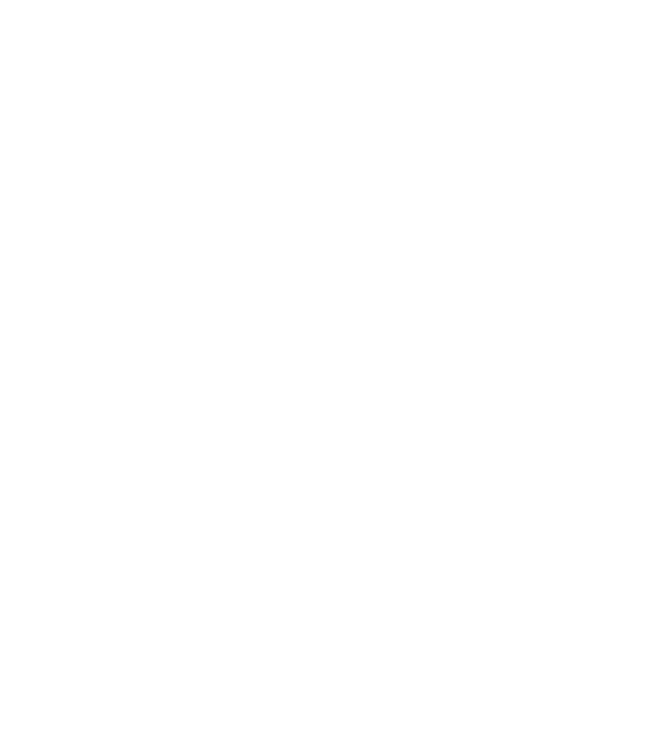Crazy Cat Ladies are born in November model gri pe tricou