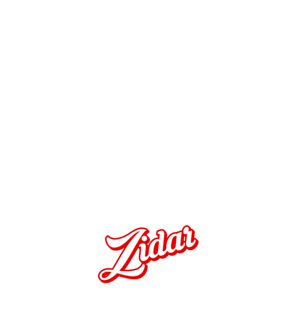 Cel mai bun ZIDAR din lume model alb pe tricou
