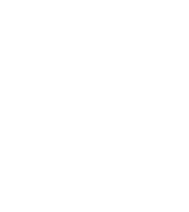 Bug fixed model negru pe tricou