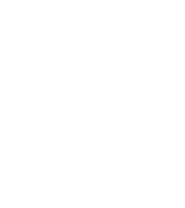 nimeni nu e perfect, dar stăpânii de havanese sunt foarte aproape model negru pe tricou