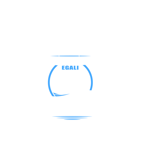 Toți bărbații se nasc egali contabili model negru pe tricou