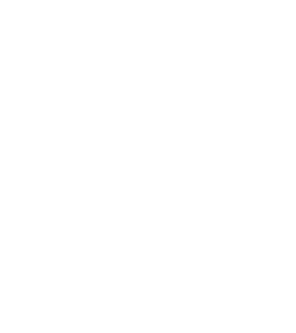 LOVE Staffordshire Terrier model negru pe tricou