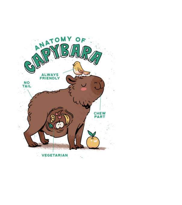 Anatomy of Capybara model albastru deschis pe tricou