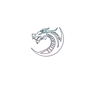 Dragon Tribal model negru pe tricou
