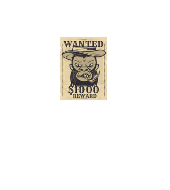 Maimuță cowboy model turcoaz pe tricou