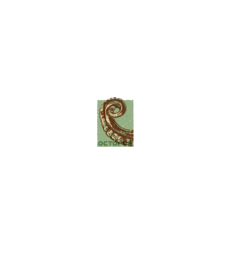 Caracatiță Octopus model negru pe tricou