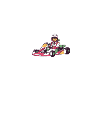 Pisică gokart model gri pe tricou