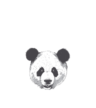 Cap de panda model alb pe tricou