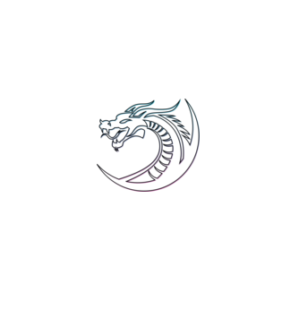 Dragon Tribal model negru pe tricou