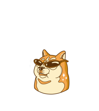 Doge Coin model negru pe tricou
