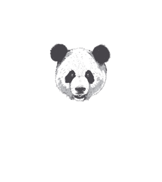Cap de panda model alb pe tricou