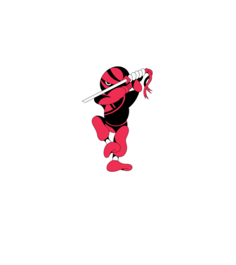 Ninja model alb pe tricou