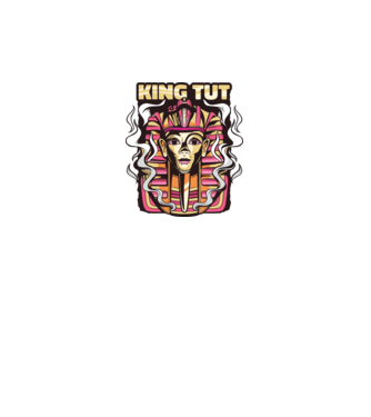 King Tut - Faraonul Tutankhamon model gri pe tricou