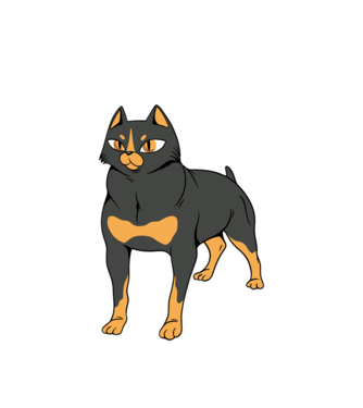 Rottweiler pisică model alb pe tricou