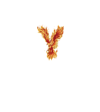 Pasărea Phoenix model negru pe tricou