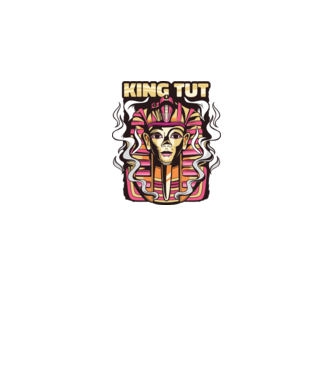 King Tut - Faraonul Tutankhamon model gri pe tricou