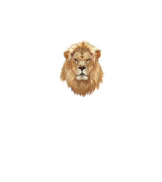 lion head paint model alb pe tricou