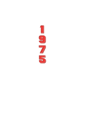 1975 the birth of legends model negru pe tricou