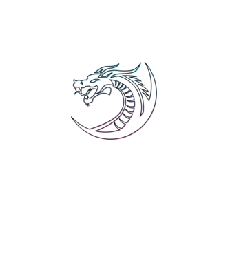 Dragon Tribal model negru pe tricou