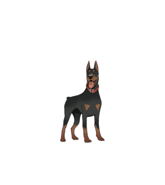 Tricou cu câine dobermann model verde de măr pe tricou