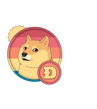 Doge Coin model alb pe tricou