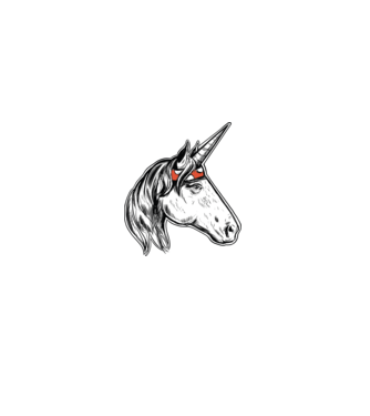 Cal Unicorn model turcoaz pe tricou