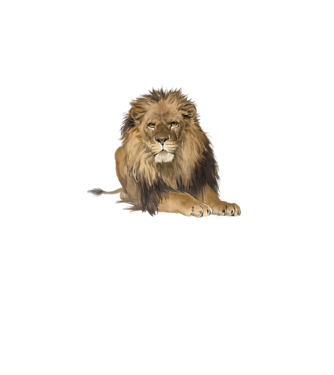 lion king model roz pe tricou