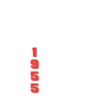 1955 the birth of legends model negru pe tricou