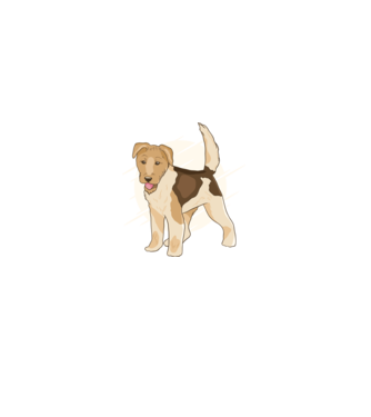 Fox Terrier model verde pe tricou
