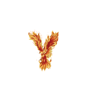 Pasărea Phoenix model negru pe tricou