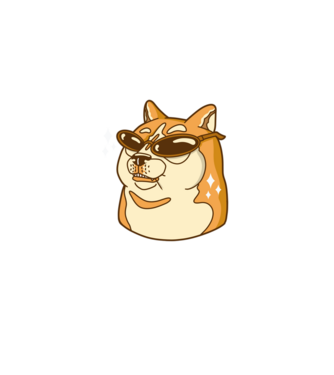 Doge Coin model  pe tricou