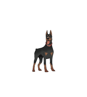 Tricou cu câine dobermann model gri pe tricou