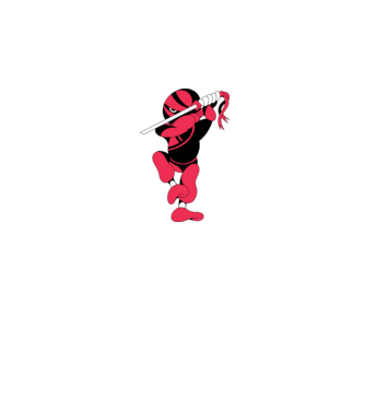 Ninja model alb pe tricou