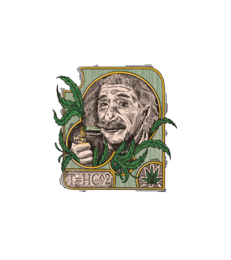 Einstein Marijuana THC model alb pe tricou