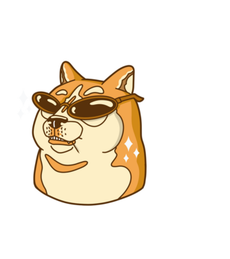 Doge Coin model alb pe tricou