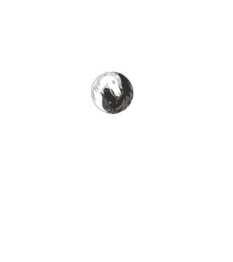 Călăreț Yin Yang model roz deschis pe tricou