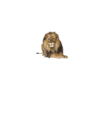 lion king model gri pe tricou