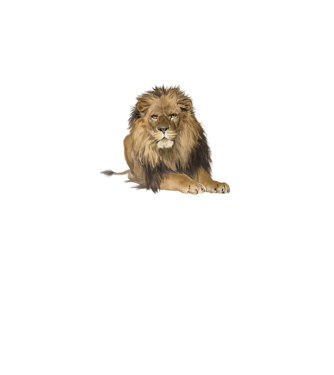 lion king model gri pe tricou