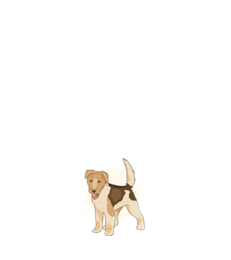 Fox Terrier model alb pe tricou