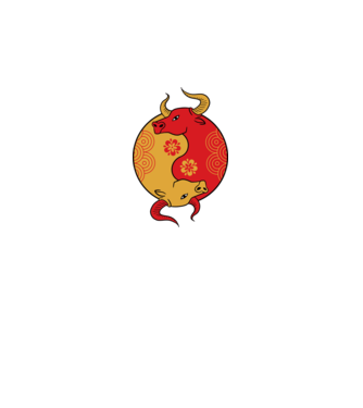 Bivol Yin Yang model alb pe tricou