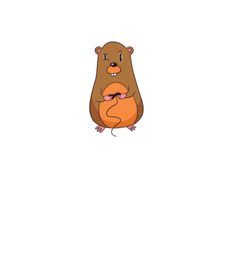 Hamster Gamer model alb pe tricou
