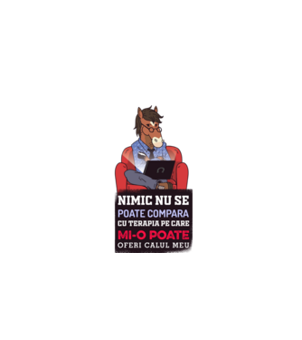 nimic nu se poate compara cu terapia pe care mi-o poate oferi calul meu model gri pe tricou