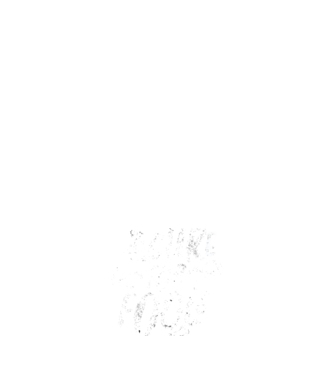 No cure for Fools - Nu există leac pentru proști model alb pe tricou
